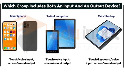 Which Group Includes Both An Input And An Output Device