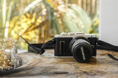 5 Best Micro Four Thirds Cameras