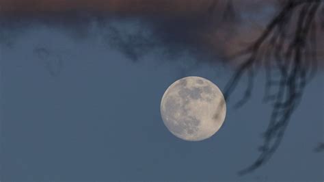 1st full moon of 2023 was a wonderful Wolf Moon worldwide (photos) | Space