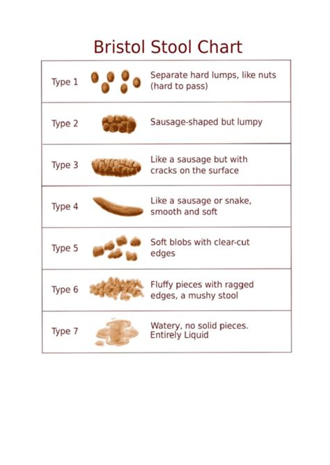 Great Bristol Stool Chart Pdf Don T Miss Out Stoolz