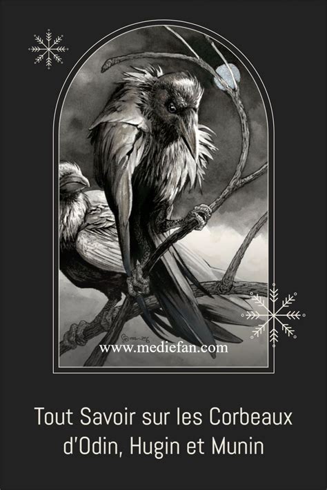 Hugin et Munin Tout Savoir sur les Corbeaux d Odin Médiéfan