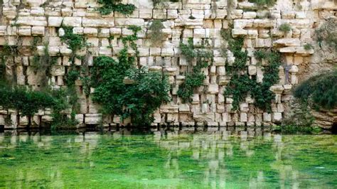 Se Abre El Plazo Para Hacer Gratis La Ruta Del Agua Por Zaragoza De