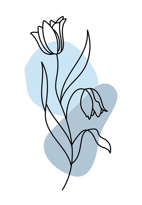 Minimalistic Tulip Illustration Line Art Flowers