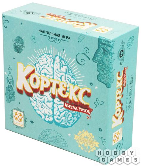 Кортекс