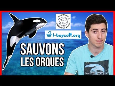 Sauvons Les Orques Boycottons Marineland Vid O Dailymotion