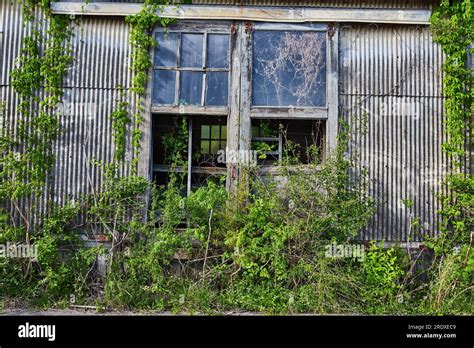 Abandoned Old Factory Entrance Decaying Overgrown Summer Vines