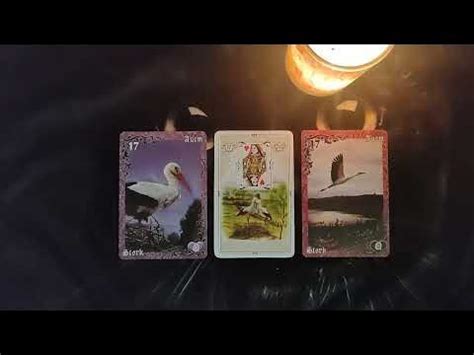 Аист.Ленорман #таро #школатаро #обучениетаро - YouTube