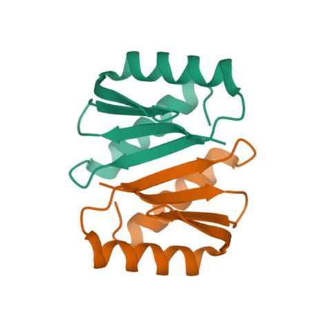 RCSB PDB 2JWL Solution Structure Of Periplasmic Domain Of TolR From