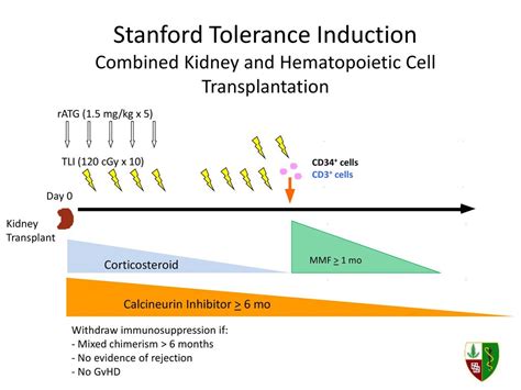 Relationship Between Mixed Chimerism And Clinical Tolerance After