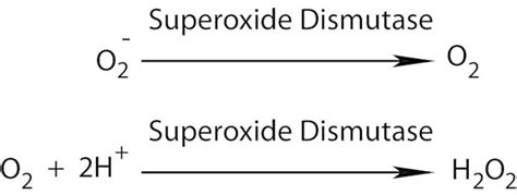 Superoxide Dismutase Bovine R S Ku Sigma Aldrich Sls Ireland