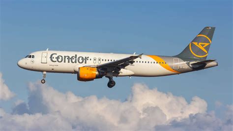 Neues Condor Ziel am Flughafen Düsseldorf dürfte vor allem Party Fans