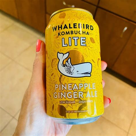 Whalebird Pineapple Ginger Ale Lite Kombucha Review Abillion