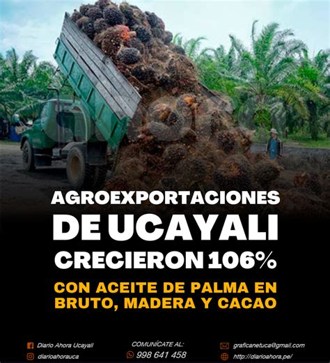 Agroexportaciones De Ucayali Crecieron 106 Diario Ahora