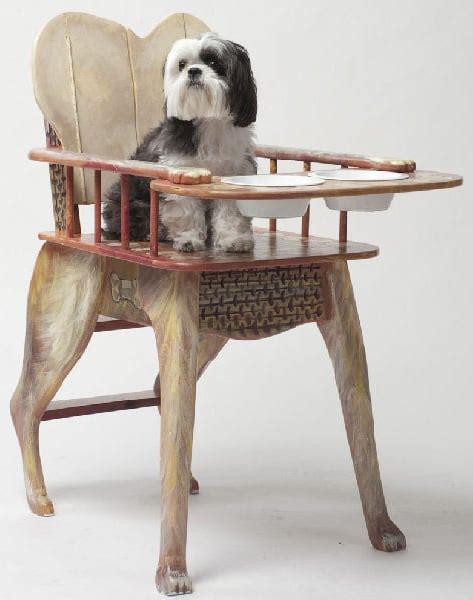 Dog High Chair | POPSUGAR Pets