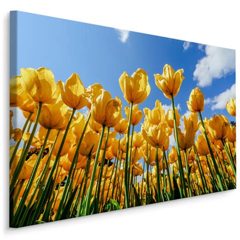 Obraz Canvas Do Jadalni ŻÓŁTE Tulipany Pole Natura Dekoracja 3D 30cm x