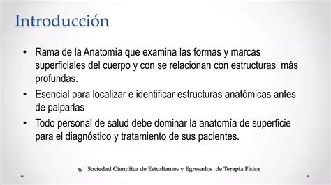 Anatom A Palpatoria Clase Cabeza Y Cuello Ppt