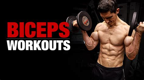 Bicep Workouts Chart