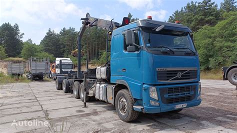 Ci Ar Wka Do Przewozu Drewna Volvo Fh Na Sprzeda Polska Domostawa