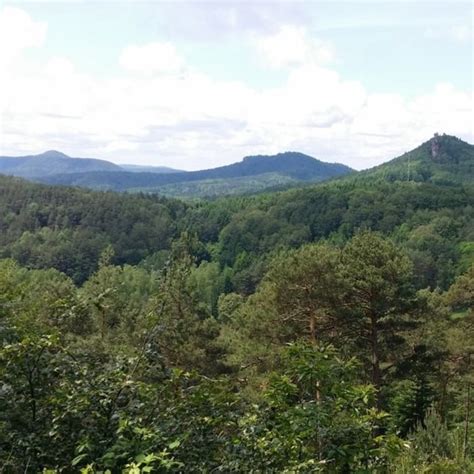 Wandern Pfälzer Rundwanderung mit Einkehr Cramerhaus Tour 154106