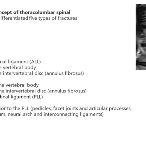 Denis Classification Adapted From DENIS FRANCIS MD FRCS C The