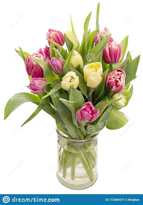 Spring Tulips In A Vase Stock Image Image Of Springtime 172084571