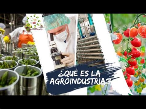 Qu Es La Agroindustria Youtube