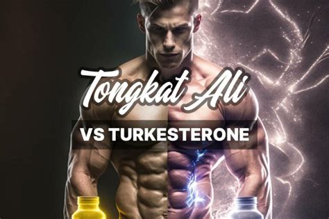 10 Best Tongkat Ali Capsules A Guide To Choosing The Top Supplements