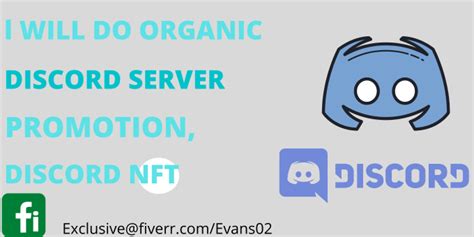 Do Organic Discord Server Promotion Set Up And Discord Nft By Evans02