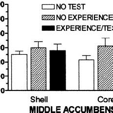 C Fos Expression In The Shell And Core Of The Nucleus Accumbens At The