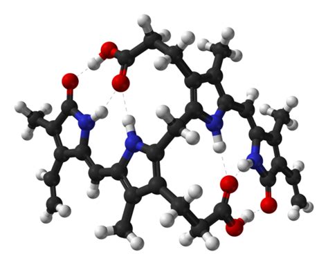 Qué es la bilirrubina Bioquímica Homo medicus