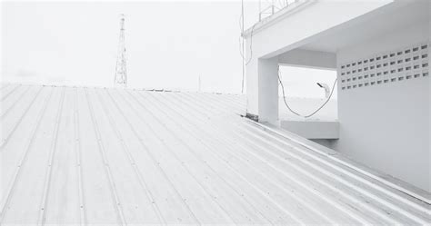 unlocking  potential  roof coating  insight  flat roof