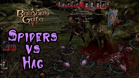 Baldur S Gate 3 Patch 8 Pet Spiders Slay The Hag YouTube