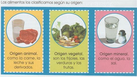 Tomi Digital La Alimentaci N Y La Salud