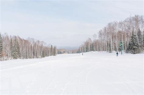 Pista De Esqui Esquiadores Na Floresta De Inverno Imagem De Stock