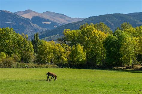 La Cerdanya Amb Nens Excursions Idees I Activitats En Fam Lia