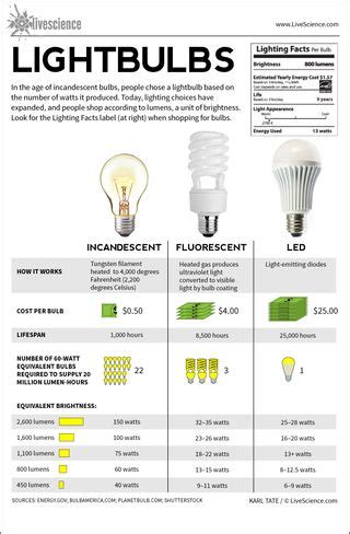 Fluorescent Light Bulbs Types