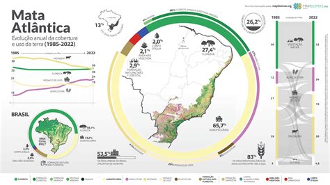 What Evidence Exists On Birds And Mammals Biodiversity In The