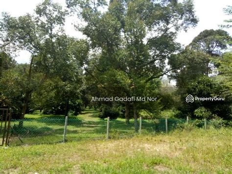 10 3 Acre Freehold Non Bumi Durian Orchard Opposite Lee Rubber Bentong