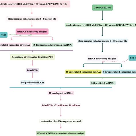 Flowcharts For Study Subjects Download Scientific Diagram