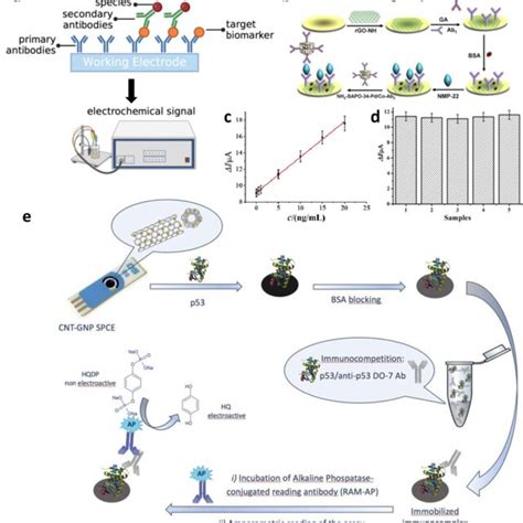 A Schematic Of The Sandwich Based Model Of The Eelisa Created With