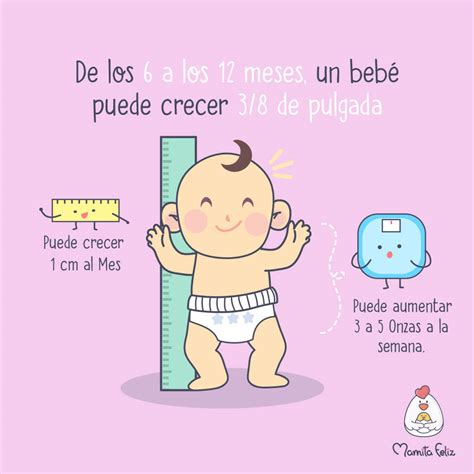 Cuánto debo esperar que crezca mi bebé durante el primer año Mamita