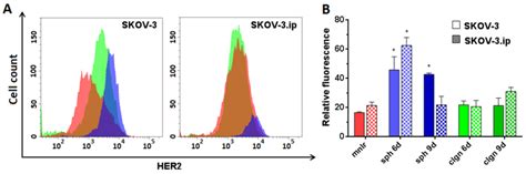 Human Epidermal Growth Factor Receptor 2 Her2 Expression Level In Download Scientific Diagram