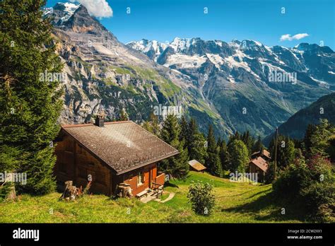 Wooden houses on the forest glade and high snowy mountains in ...