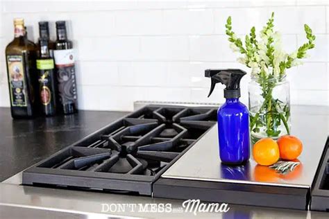 Diy Glass Cleaner And Stainless Steel Cleaner Don’t Mess With Mama