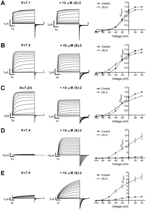 Activation Of Kv Channels By S Representative Two Electrode