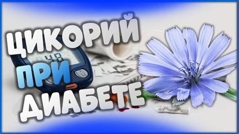Цикорий при диабете - YouTube