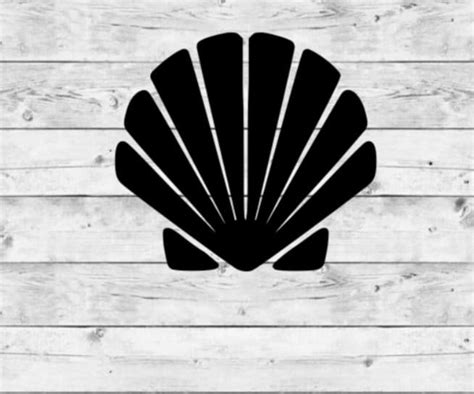 Shell Decal Shell Vinyl Decal Shell Sticker Seashell Etsy