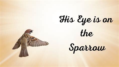 His Eye Is On The Sparrow Original Song From Scripture By Ruth Finlay