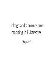 Understanding Linkage And Chromosome Mapping In Eukaryotes Course Hero