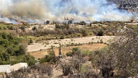 Declaran Alerta Roja Para Monte Patria Por Incendio Forestal Que Ya Ha